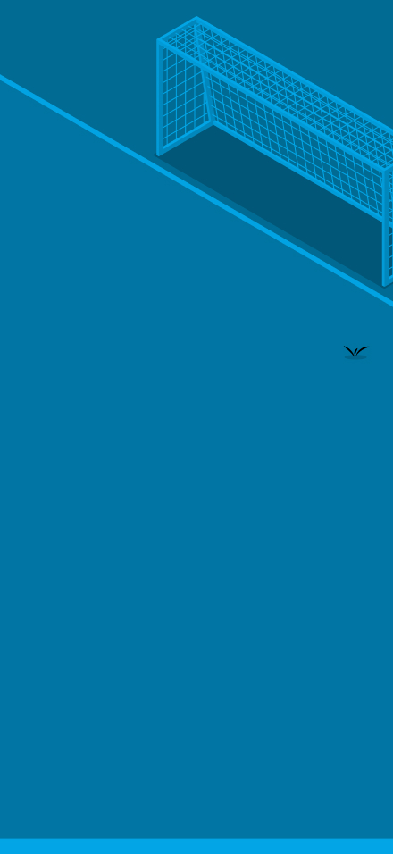 Pronostics Football - Ligue 1, Champions League